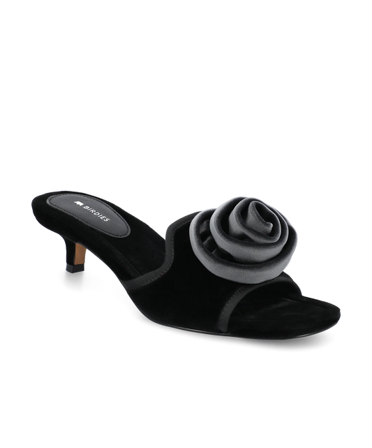 The Kiwi Kitten Flower - Black Velvet